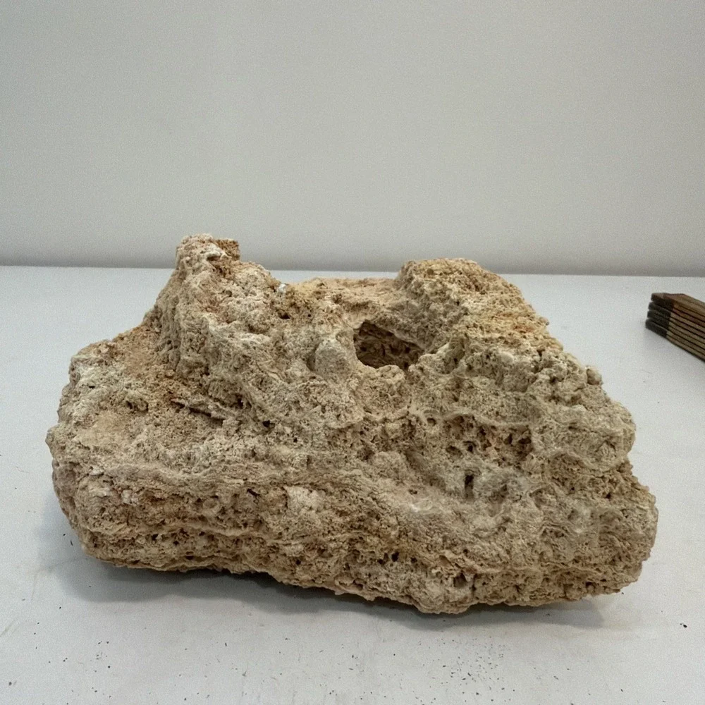 CORAL 8